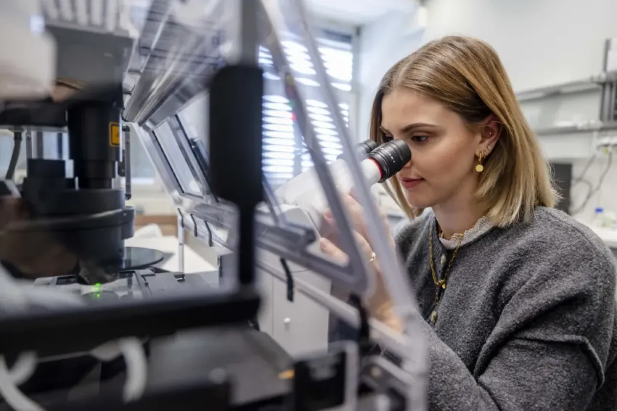 Mitochondrien als Schaltzentralen der Zellkommunikation