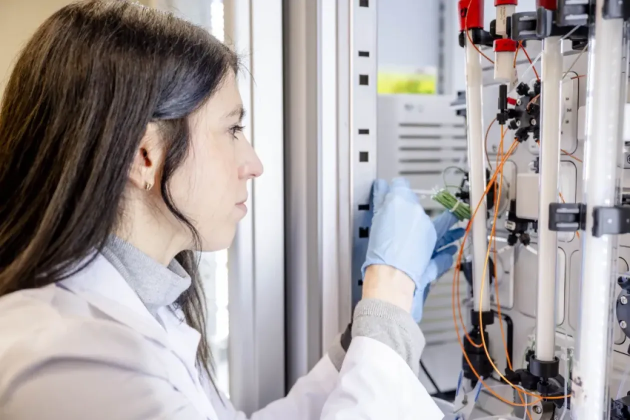 Einblicke in die Logistik der zellulären Müllabfuhr