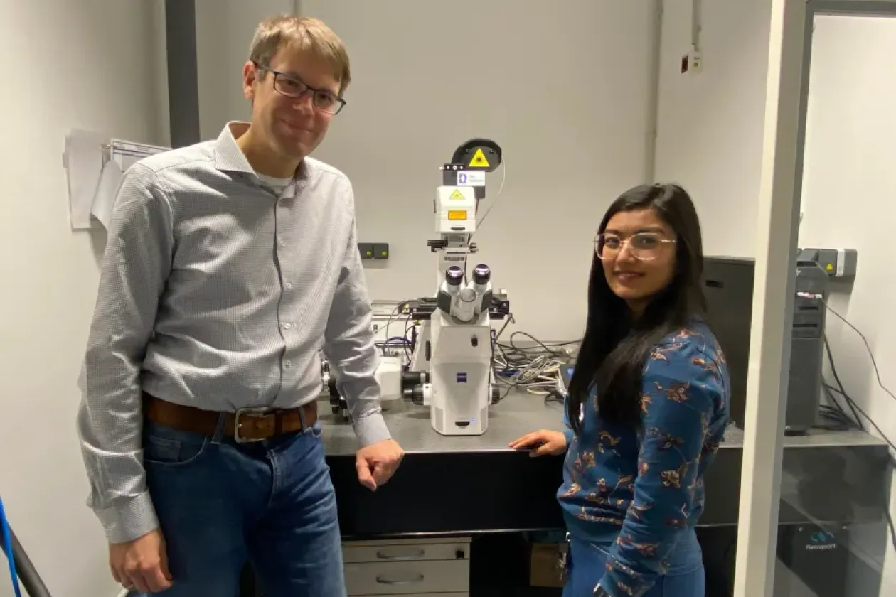 Instabile Proteine verstehen