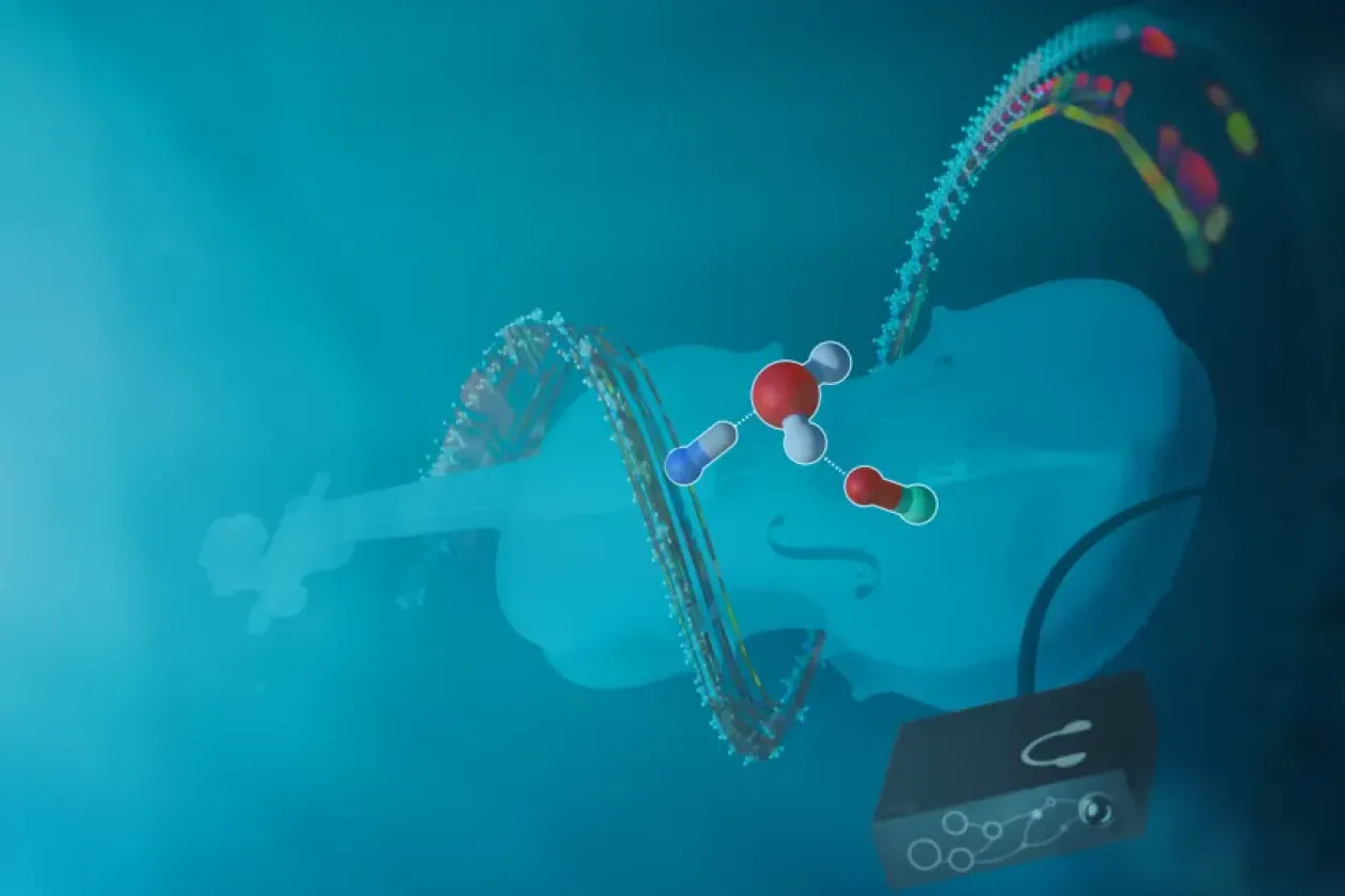 Gut zugehört beim Polymerkollaps – Wasser zieht die Fäden