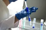 Reagenzgläser mit blauer Flüssigkeit