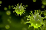 Virus