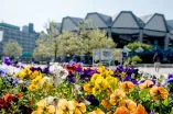 Blumen vor dem Audimax
