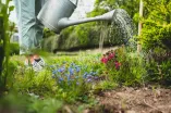 Umfrage für alle mit Garten