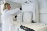 Ein Schatz in der Gefriertruhe
