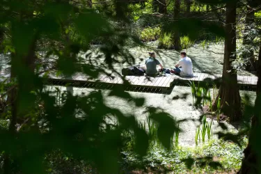Studierende entspannen auf der schwimmenden Brücke im botanischen Garten.