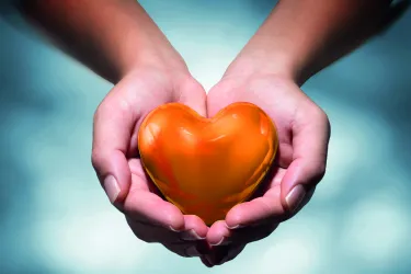 Zwei Hände halten Herz