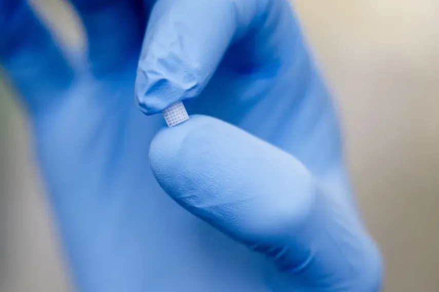 Knochenstoffwechsel auf einem Chip studieren