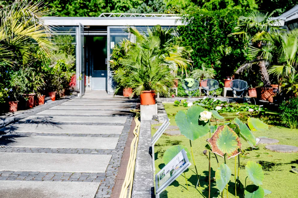 Foto: Der Botanische Garten an der Ruhr-Universität Bochum