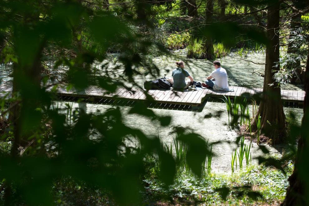 Zwei Personen sitzen auf einem Steg über Wasser im grünen Botanischen Garten.