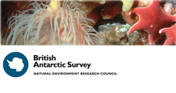 British Antarctic Survey