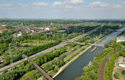 was Flohkrebse und Parasiten erzählen