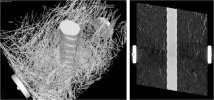 Computertomographie einer Faserbetonprobe zur Qualitätssicherung (© Prof. Dr.-Ing. Sven Simon, Universität Stuttgart)
